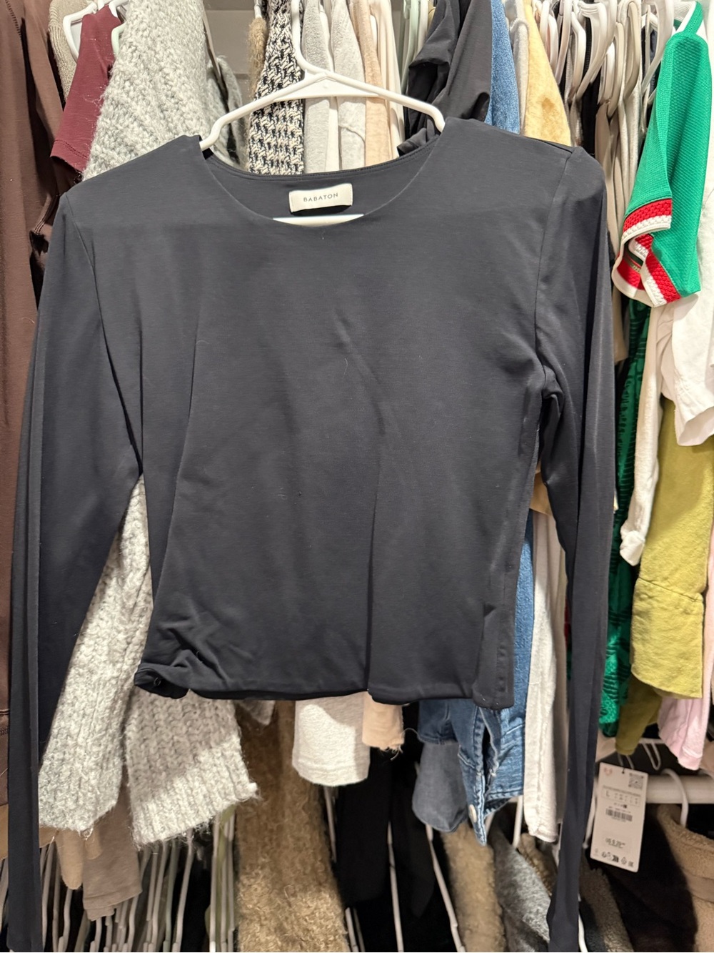 Aritzia Babaton contour crew Long-Sleeve Top